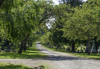 Fototapeta na wymiar Historic Cherry Tree Lined Oregon Cemetery, Marion County, Willamette Valley