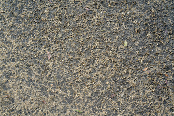 Rough wet sand texture