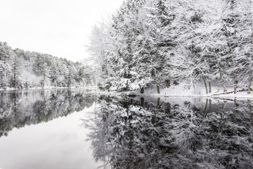 Winter reflections