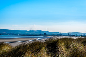 Bull Island , Dublin , Ireland