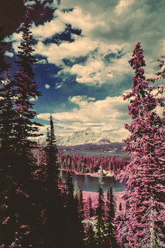 High Uinta Mountains In Infrared