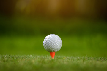 Golf balls and golf club on green grass