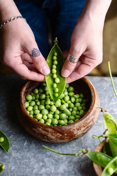 Shelling peas 