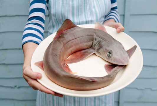 Woman fishmonger holding a dogfish shark