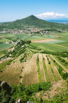 Cultivated Landscape