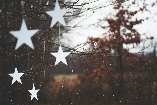 Stars
