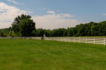 Farm Meadow