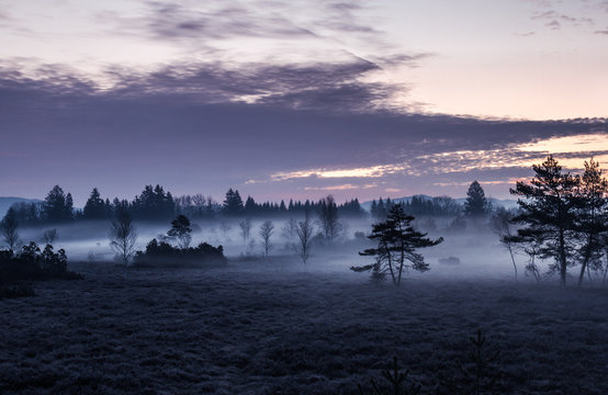 moor landscape in early morning mist