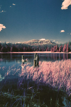 High Uinta Mountains In Infrared