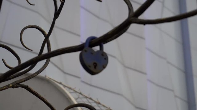 the lock in the form of heart hanging on a metal artificial tree lovers.