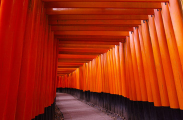 Fototapeta premium 千本鳥居