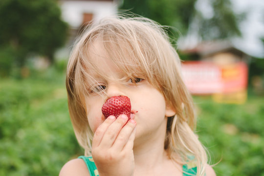 portrait of a blonde long haired toddler eating pleasurable a strawberry