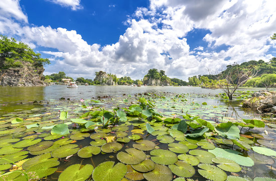 Landscape ecotourism with a large lotus pond lake attract tourists to resorts on weekends