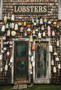 Maine Lobster Buoys