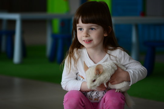 Little girl's portrait with chinchilla