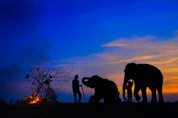 SILHOUETTE OF ELEPHANTS AND THEIR KEEPERS