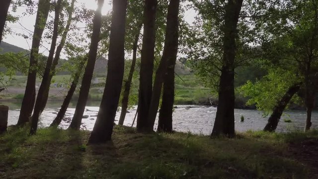 Orilla del río con árboles