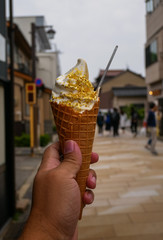 Kanazawa's famous ice cream topped with gold leaf, Kanazawa, Japan.