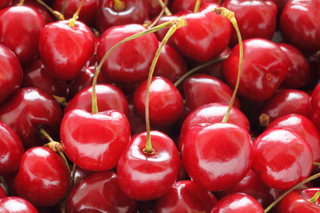 Cherries close-up. 