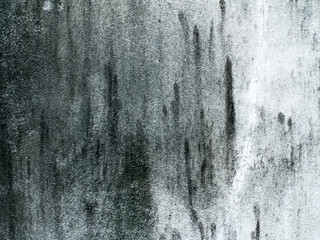Closeup texture of grunge cement wall