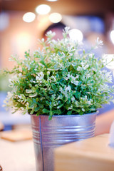 Fototapeta premium Artificial plant in tin can
