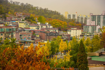 maple town in seoul korea