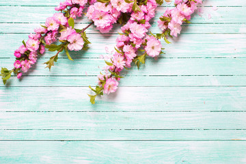 Background with spring flowers.
