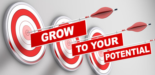 Grow to your Potential / Target / 3d