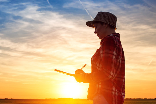 Sunset Silhouette Of Female Farmer Writing Notes In Field