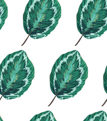 Exotic seamless pattern with leaves. Botanic texture. Repeat tropical background.  Jungle plants. Green foliage. Decorative illustration with branches.
