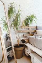 Fototapeta na wymiar Modern studio interior with mirror, plant in vase, bed and books