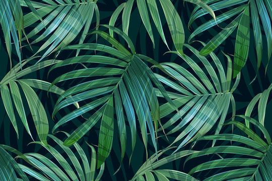  Vector palm frond. Tropical leaves seamless pattern. Banana leaf background. Exotic design isolated. Hawaiian print. Jungle plants. Summer illustration. © yana2607