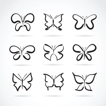 Vector group of hand drawn butterfly on white background. Insect Animals.