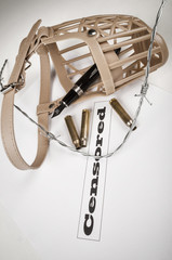 Freedom of expression concept