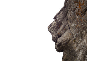 sphynx of head in rock isolated on white background