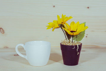 Sunflower in a Flowerpot and a cup