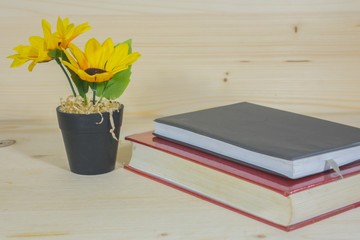 Sunflower in a Flowerpot and book