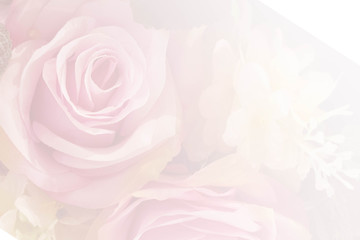 Fototapeta na wymiar pink roses in soft color