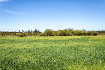 Obraz premium Idyllic landscape in Asturias in Spain 