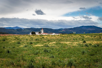 Fototapeta premium Idyllic mountain landscape in Asturias in Spain 