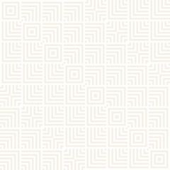 Stylish Lines Maze Lattice. Ethnic Monochrome Texture. Abstract Geometric Background. Vector Seamless Subtle Pattern...