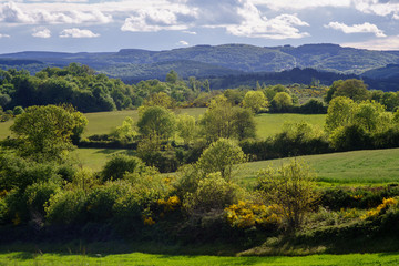 Obraz premium F, Burgund, Naturpark Morvan, klassische Weidelandschaft, Bocagelandschaft um Chissey-en-Morvan