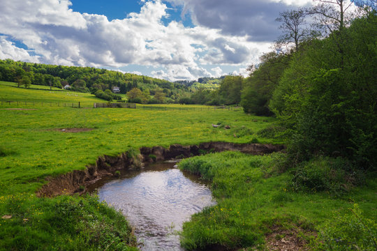 F, Burgund, Naturpark Morvan, Weidelandschaft, Bocagelandschaft um Chissey-en-Morvan