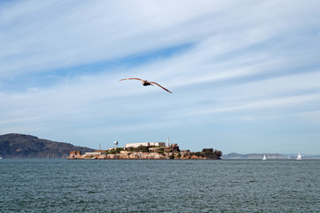 Fototapeta na wymiar Alcatraz 3