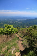 Fototapeta na wymiar 絶景　鶴見岳のミヤマキリシマ