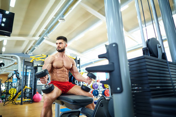 Fototapeta na wymiar Bodybuilder athlete with dumbbells in the gym.