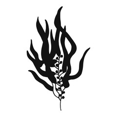 Algae silhouette. vector illustration