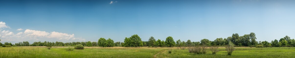 Panorama. Green meadow. The Ukrainian steppe. Summer.