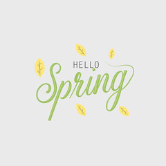 Hello Spring Labels and Badges Vector Design Elements, Typography Greeting Cards, Posters and Flyers, Vector Illustrator