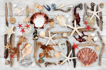 Beach abstract art with selection of seashells, driftwood, seaweed and rocks on distressed white...